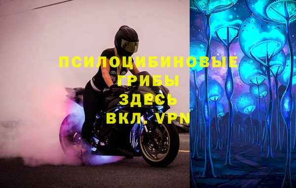 крисы Абдулино