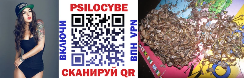 наркота  Ярославль  Галлюциногенные грибы Cubensis 