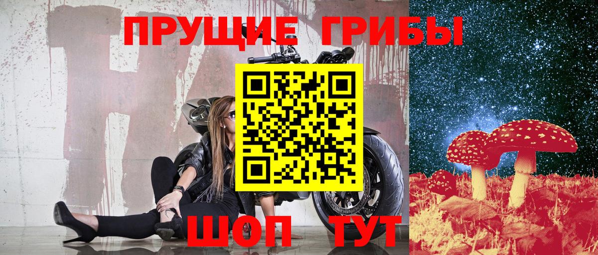 Ярославль  Псилоцибиновые грибы ЛСД  Вход с VPN 